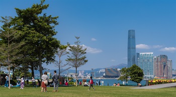 公園的草坪較海濱高，其地勢朝維港方向緩緩向下傾斜，讓海港和九龍半島的景色一覽無遺。